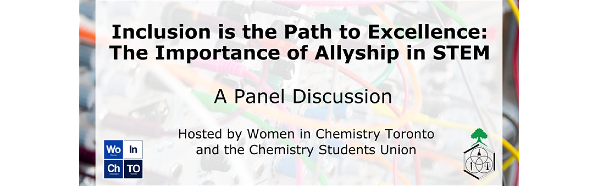 Inclusion is the Path to Excellence: The Importance of Allyship in STEM